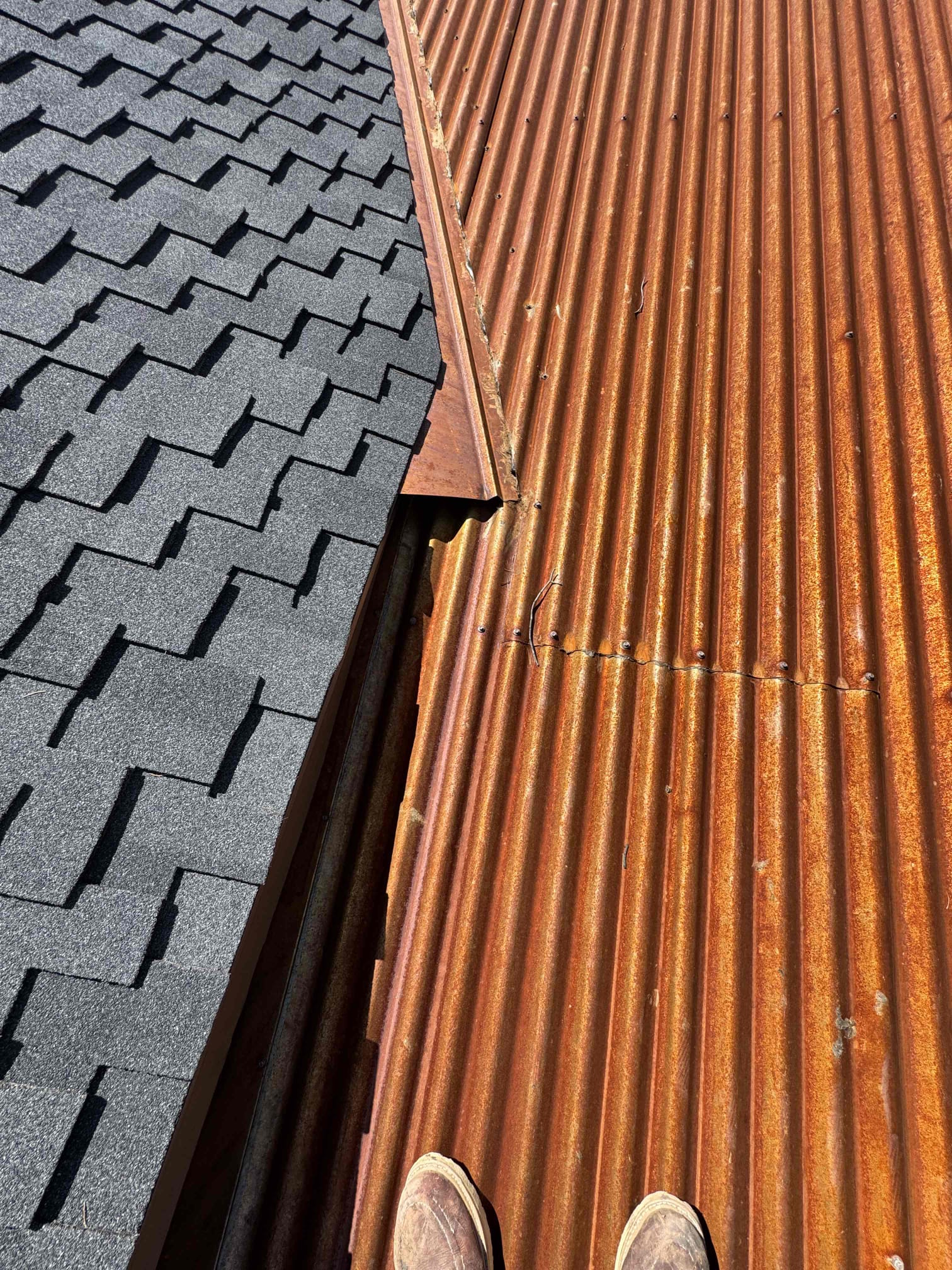 Aaron Begay, Allen Dempsey, Camran Jimmy, Eliseo Elias, Felipe Jimenez, Gustavo Caudillo, Jose Vega