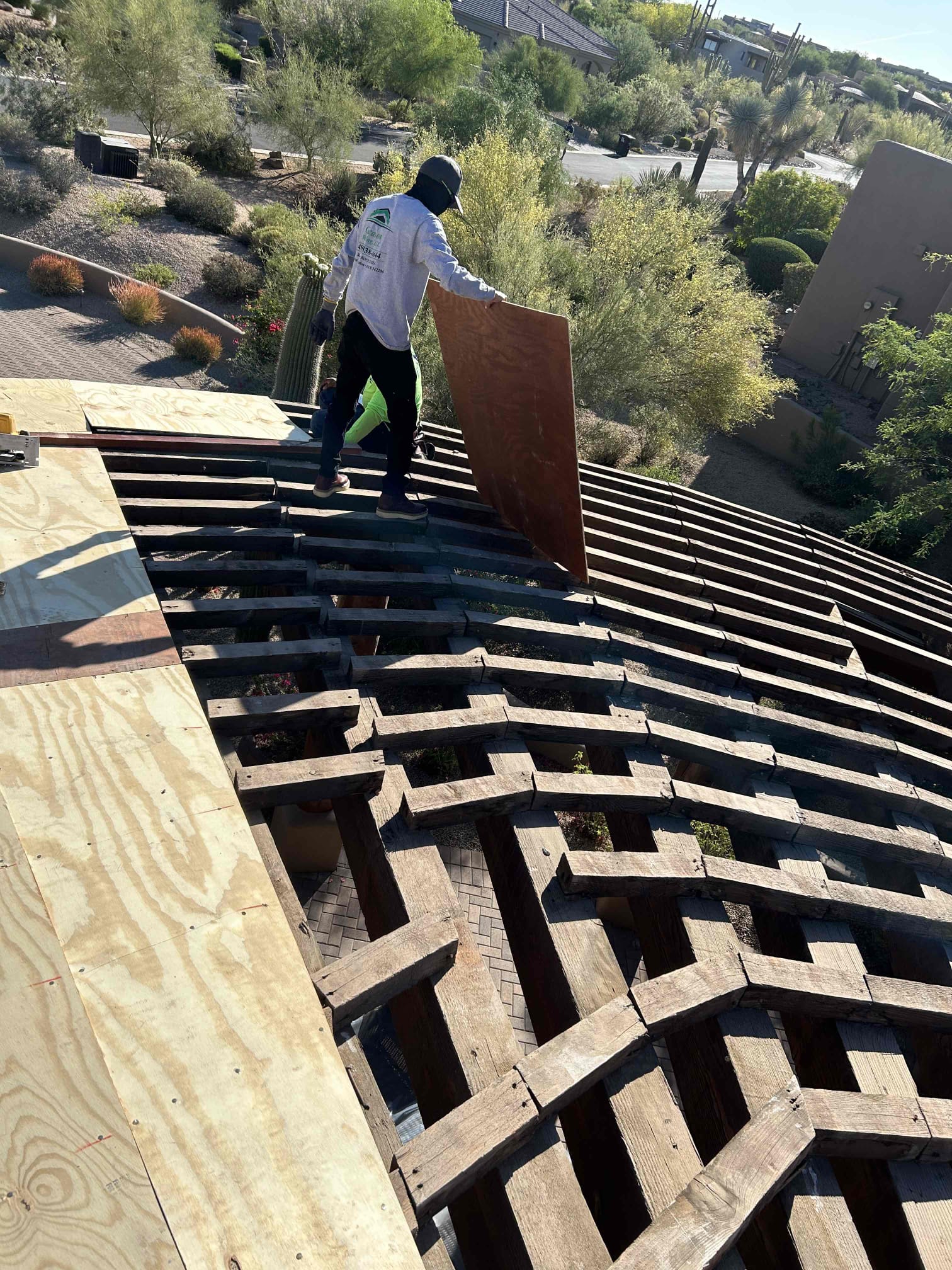 Jose Mota, Juan Luis Mota, Mario Naranjo