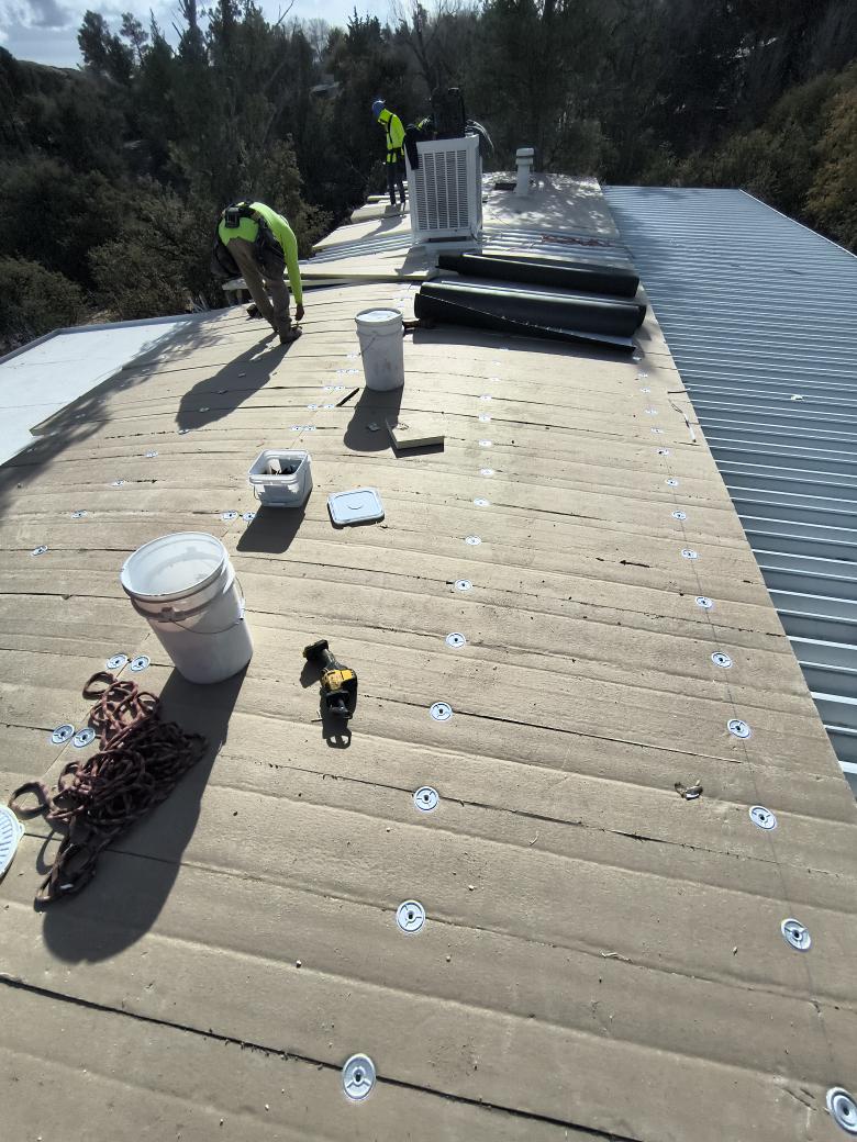 Jordan Moses, Lance Johnson