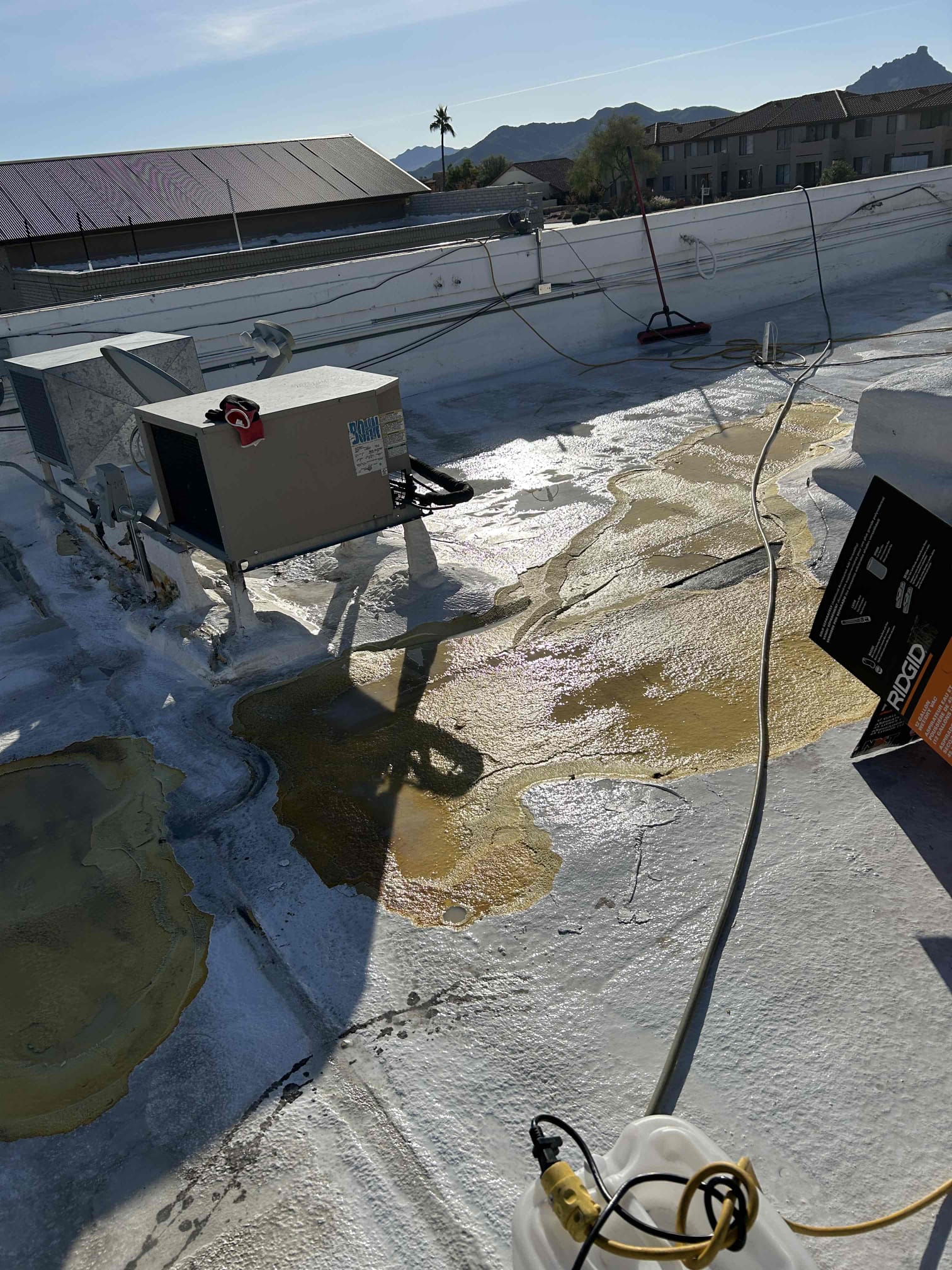 Jireh Roofing, Jose Mota, Juan Luis Mota, Otoniel Madera