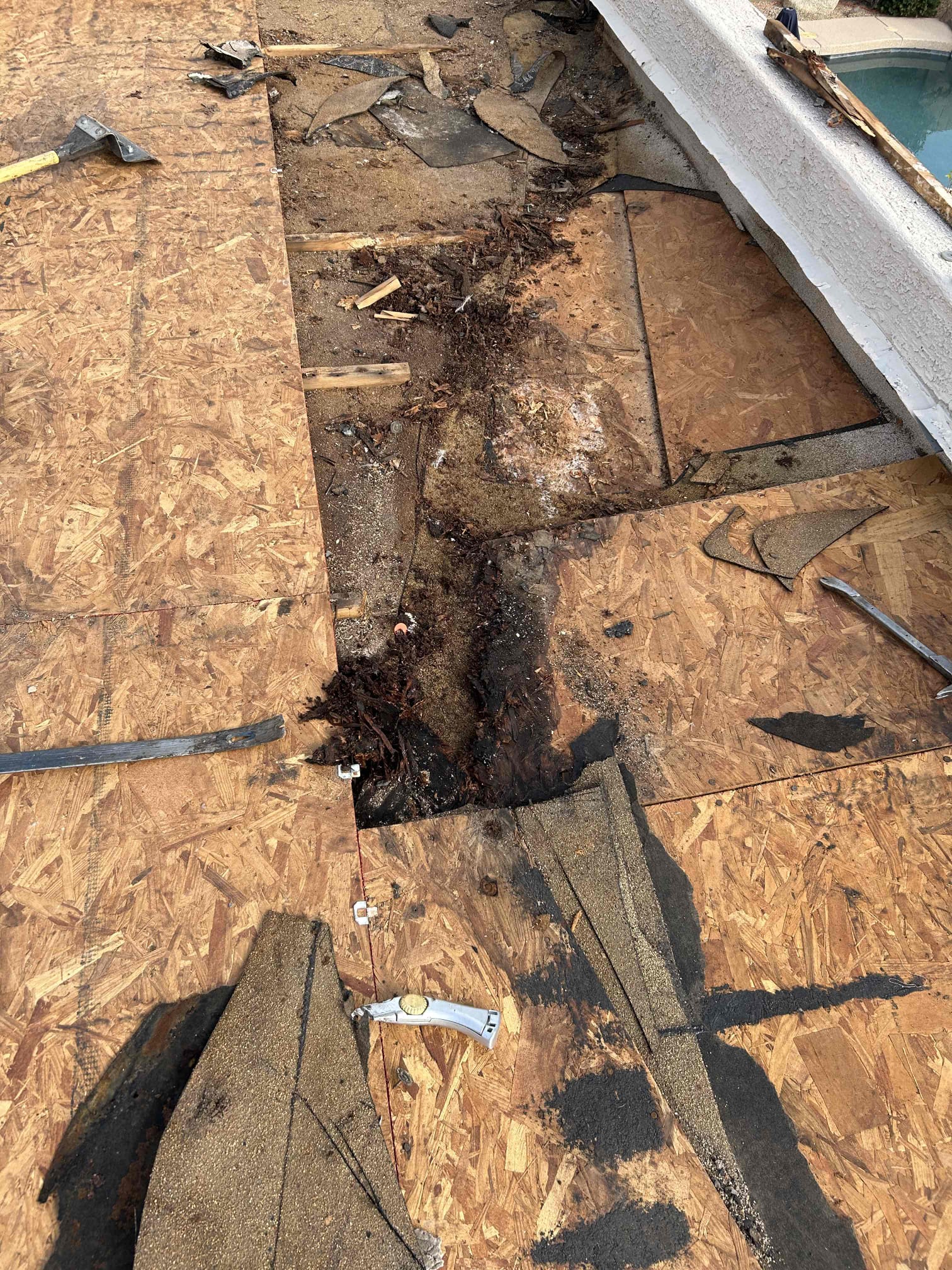 Collin Winemiller, Julio Angulo, Mario Naranjo