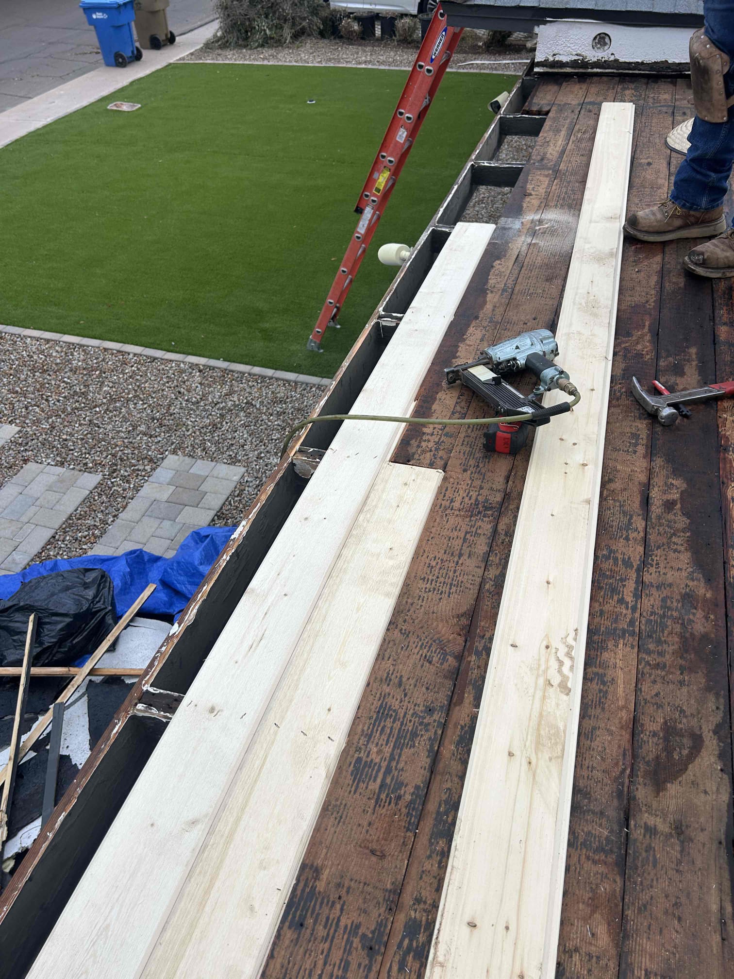 Jose Mota, Juan Luis Mota