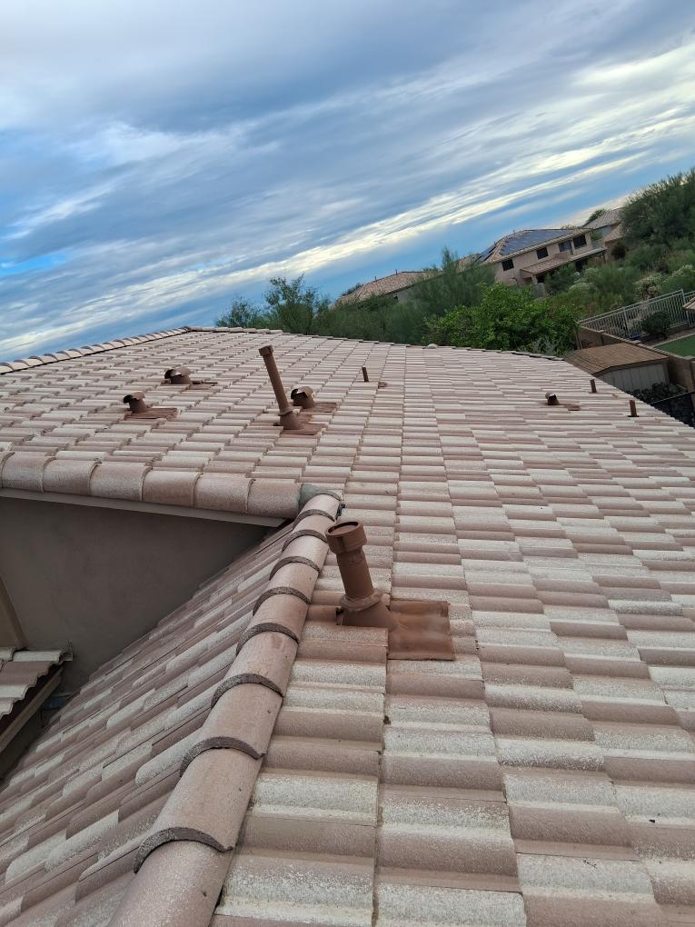 Daily Roofing